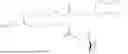 Fig. 586 - Chimeric Antigen Receptors Targeting CD19