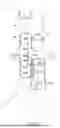 Fig. 03 - ARTERIAL COMPLIANCE ADJUSTMENT