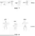 Fig. 07 - MASS SCALE AUDIENCE INTERACTIVE GAMEPLAY THROUGH COMPUTER VISION