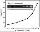 Fig. 01 - PHOSPHOR FOR DETECTING FIRE BLIGHT PATHOGEN AND USE THEREOF