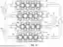 Fig. 14 - HUMAN ORGAN-ON-CHIP MODELS FOR PREDICTIVE SCREENING