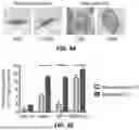 Fig. 28 - HUMAN ORGAN-ON-CHIP MODELS FOR PREDICTIVE SCREENING
