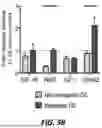 Fig. 30 - HUMAN ORGAN-ON-CHIP MODELS FOR PREDICTIVE SCREENING
