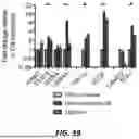 Fig. 31 - HUMAN ORGAN-ON-CHIP MODELS FOR PREDICTIVE SCREENING