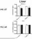 Fig. 44 - HUMAN ORGAN-ON-CHIP MODELS FOR PREDICTIVE SCREENING