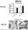 Fig. 45 - HUMAN ORGAN-ON-CHIP MODELS FOR PREDICTIVE SCREENING
