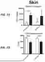 Fig. 46 - HUMAN ORGAN-ON-CHIP MODELS FOR PREDICTIVE SCREENING