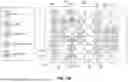 Fig. 48 - HUMAN ORGAN-ON-CHIP MODELS FOR PREDICTIVE SCREENING