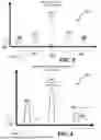 Fig. 04 - Distributed Fiber-Optic Infrastructure