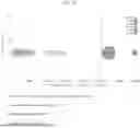 Fig. 28 - METHOD OF CHARACTERIZATION OF VISIBLE AND/OR SUB-VISIBLE PARTICLES IN BIOLOGICS