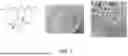 Fig. 02 - RENEWABLE BIO-POLYMER BASED SOLID-STATE GAMMA RADIATION DETECTOR-DOSIMETER