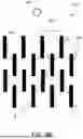 Fig. 15 - OPTICAL EYEPIECE USING SINGLE-SIDED PATTERNING OF GRATING COUPLERS