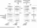Fig. 08 - DETERMINATION OF OVERLAP OF DATA PROTECTION POLICIES