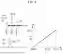 Fig. 07 - ARTIFICIAL NEURAL NETWORK APPARATUS AND METHOD FOR OPERATING THE SAME