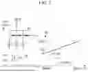 Fig. 08 - ARTIFICIAL NEURAL NETWORK APPARATUS AND METHOD FOR OPERATING THE SAME
