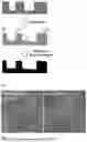 Fig. 03 - METHOD OF MANUFACTURING CARBON SUPPORT WITH IMPROVED POROSITY AND SURFACE HYDROPHOBICITY