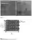 Fig. 04 - METHOD OF MANUFACTURING CARBON SUPPORT WITH IMPROVED POROSITY AND SURFACE HYDROPHOBICITY