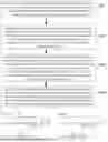 Fig. 06 - SIGNAL TRANSMISSION METHOD AND DEVICE, STORAGE MEDIUM, AND ELECTRONIC DEVICE