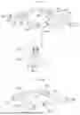 Fig. 27 - CAMERA DEVICE AND OPTICAL INSTRUMENT