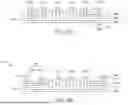 Fig. 09 - BENDABLE CIRCUIT BOARD