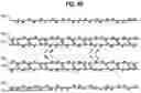 Fig. 06 - LIGHTWEIGHT KNITTED UPPER AND METHODS OF MANUFACTURE