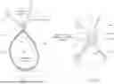 Fig. 02 - Knotless All-Inside Suture Constructs and Methods of Tissue Fixation