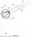 Fig. 22 - TISSUE EXTRACTION DEVICES AND RELATED METHODS