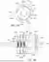 Fig. 167 - Systems, Methods, and Apparatuses for Producing and Packaging Medical Fluids