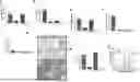 Fig. 01 - A COMPOSITION COMPRISING BLOOD PLASMA AND IMMUNOGLOBULINS FOR USE IN THE TREATMENT OR PREVENTION OF AN INFECTIOUS DISEASE