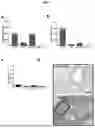 Fig. 02 - A COMPOSITION COMPRISING BLOOD PLASMA AND IMMUNOGLOBULINS FOR USE IN THE TREATMENT OR PREVENTION OF AN INFECTIOUS DISEASE