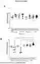Fig. 07 - A COMPOSITION COMPRISING BLOOD PLASMA AND IMMUNOGLOBULINS FOR USE IN THE TREATMENT OR PREVENTION OF AN INFECTIOUS DISEASE