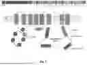 Fig. 02 - ATP7B GENE THERAPY