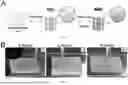 Fig. 05 - FISH LIVER DECELLULARIZED EXTRACELLULAR MATRIX BASED MICROFLUIDIC 3D PRINTING HYDROGEL, AND PREPARATION METHOD AND APPLICATION THEREOF