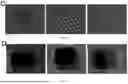 Fig. 06 - FISH LIVER DECELLULARIZED EXTRACELLULAR MATRIX BASED MICROFLUIDIC 3D PRINTING HYDROGEL, AND PREPARATION METHOD AND APPLICATION THEREOF