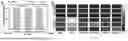 Fig. 11 - FISH LIVER DECELLULARIZED EXTRACELLULAR MATRIX BASED MICROFLUIDIC 3D PRINTING HYDROGEL, AND PREPARATION METHOD AND APPLICATION THEREOF