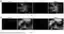 Fig. 12 - FISH LIVER DECELLULARIZED EXTRACELLULAR MATRIX BASED MICROFLUIDIC 3D PRINTING HYDROGEL, AND PREPARATION METHOD AND APPLICATION THEREOF