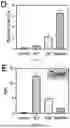 Fig. 19 - FISH LIVER DECELLULARIZED EXTRACELLULAR MATRIX BASED MICROFLUIDIC 3D PRINTING HYDROGEL, AND PREPARATION METHOD AND APPLICATION THEREOF