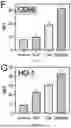 Fig. 20 - FISH LIVER DECELLULARIZED EXTRACELLULAR MATRIX BASED MICROFLUIDIC 3D PRINTING HYDROGEL, AND PREPARATION METHOD AND APPLICATION THEREOF