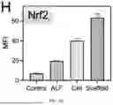 Fig. 21 - FISH LIVER DECELLULARIZED EXTRACELLULAR MATRIX BASED MICROFLUIDIC 3D PRINTING HYDROGEL, AND PREPARATION METHOD AND APPLICATION THEREOF