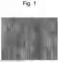 Fig. 02 - LASER APPARATUS AND ELECTRONIC DEVICE MANUFACTURING METHOD