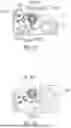 Fig. 09 - PROTECTION MODULE FOR LIMITING AND/OR BLOCKING A MOVEMENT BETWEEN TWO STRUCTURAL COMPONENTS AND/OR A SEAT FUNCTION OF A VEHICLE SEAT AND VEHICLE SEAT