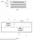 Fig. 02 - Lane Change Classification of a Vehicle