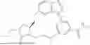 Fig. 197 - MACROCYCLIC RIP2-KINASE INHIBITORS