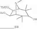Fig. 197 - UNIVERSAL SOLID SUPPORTS AND PHOSPHORAMIDITE BUILDING BLOCKS FOR OLIGONUCLEOTIDE SYNTHESIS