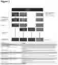Fig. 02 - TREATMENT OF LUPUS