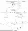 Fig. 01 - IONIZABLE CATIONIC LIPIDS