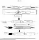 Fig. 09 - BACULOVIRUS EXPRESSION SYSTEM