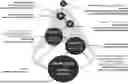 Fig. 01 - METHODS OF IDENTIFYING AND TREATING TUMORS WITH SIGMA1 INHIBITORS
