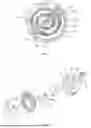 Fig. 02 - SCROLL COMPRESSOR AND HEAT PUMP DEVICE