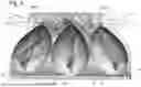 Fig. 09 - LIGHT FIXTURE